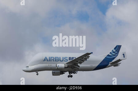 Hamburg, Deutschland - 22 April 2017: Beluga Verkehrsmittel Flugzeug Nummer 1 ist der Landung am Airbus in Hamburg Finkenwerder Stockfoto