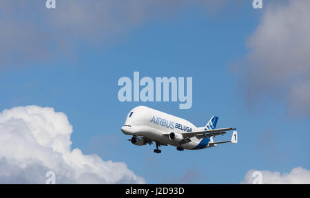 Hamburg, Deutschland - 22 April 2017: Beluga Verkehrsmittel Flugzeug Nummer 1 ist der Landung am Airbus in Hamburg Finkenwerder Stockfoto