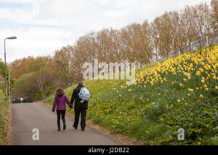 Dalry, Edinburgh, UK. 27. April 2017. Großbritannien Wetter. Mann und seine Tochter zu Fuß an einem bewölkten Tag in Dalry, Edinburgh, Schottland, Großbritannien. Eher trübe Start mit lückenhaft Regen über Grenzen bald vom Aussterben bedroht. Dann hauptsächlich trocken und immer heller mit sonnigen Abschnitten. Ein paar Duschen können, Grenzen heute Nachmittag zurück. Ein viel milder Tag mit höchsten Temperaturen in der Umgebung von Edinburgh. Bildnachweis: Gabriela Antosova/Alamy Live-Nachrichten Stockfoto