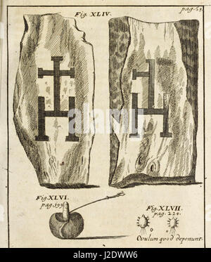 "Miscellanea Curiosa, Sive Ephemeridum Medico-Physicarum Germanicarum" (1700) Stockfoto