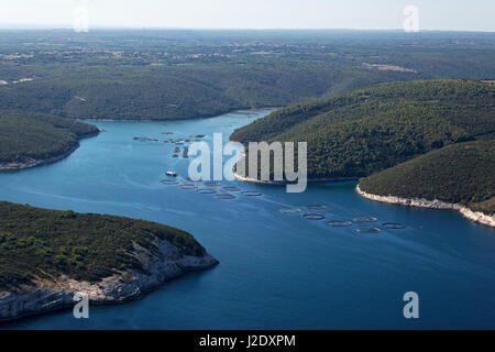 Luftbild der Rasa-Bucht in Istra, Kroatien Stockfoto