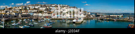 GB - DEVON: Panoramablick auf Hafen von Brixham Stockfoto