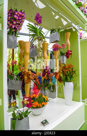 Orchideen und Beine mit high Heels in Keukenhof Park, Lisse, Holland, Niederlande. Stockfoto