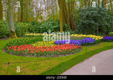 Tuilps und andere Blumen in Keukenhof Park, Lisse, Holland, Niederlande Stockfoto