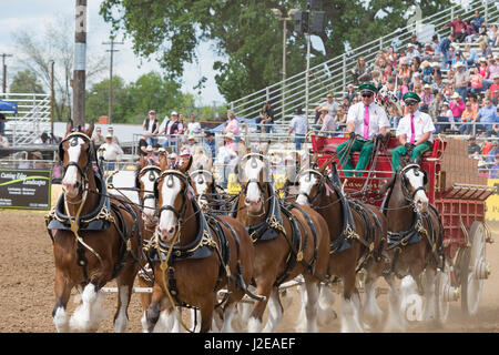 Red Bluff Rodeo Roundup 2017 Stockfoto