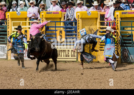 Red Bluff Rodeo Roundup 2017 Stockfoto