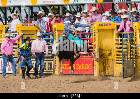 Red Bluff Rodeo Roundup 2017 Stockfoto