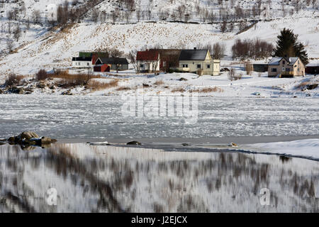 Knutstad, Lofoten Inseln, Norwegen. Stockfoto