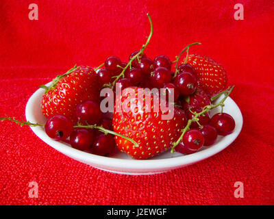 Weiße Schale von Erdbeere und Rasberry auf rotem Grund Stockfoto