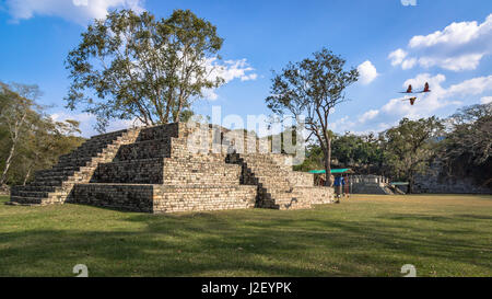 Die große Plaza Copán Ruinas mit Struktur (Tempel) 4 im Vordergrund, die Arbeit der Waxaklajuun Ub'aah K'awiil ("18 Kaninchen"). Stockfoto