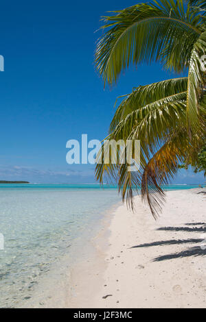 Cook Inseln. Palmerston Island, eine klassische Atoll, Captain Cook im Jahre 1774 entdeckt. Derzeitige Bevölkerung von 62 Personen, sind alle Nachkommen von William Marsters (aka Meister). Stockfoto