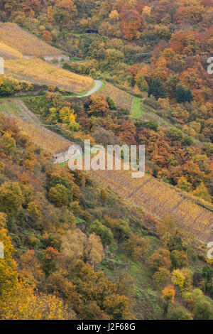 Deutschland, Rheinland-Pfalz, St. Goarhausen, Landschaft auf der Loreley-Felsen, Herbst Stockfoto