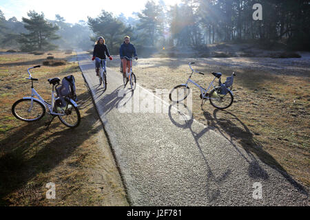 Radfahrer ertragen einen kalten Wintermorgen im Nationalpark De Hoge Veluwe, Niederlande Stockfoto
