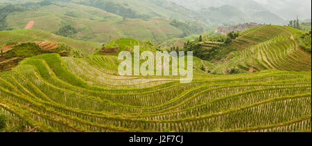 Reisfelder mit kleinen Dorf in der Provinz Guangxi Stockfoto