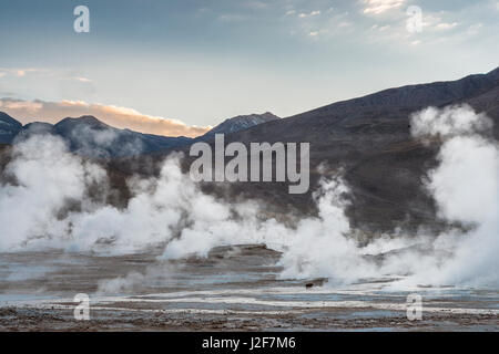 Speienden Geysire El Tatio Geysirfeld Höhenlagen kurz vor Sonnenaufgang Stockfoto