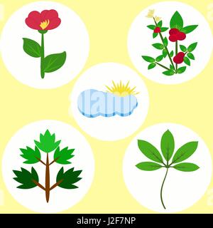 Reihe von farbigen flach Naturelemente von Busch, Laub, Blumen, Wolken Stock Vektor