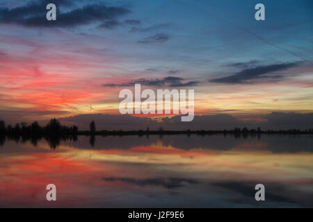 Sonnenuntergang in der oostvaardersplassen Stockfoto