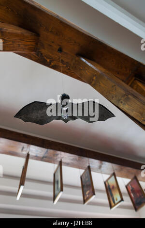 Rumänien, Siebenbürgen, Tihuta Pass, Hotel Castel Dracula Fledermaus Kunst, Interieur Stockfoto