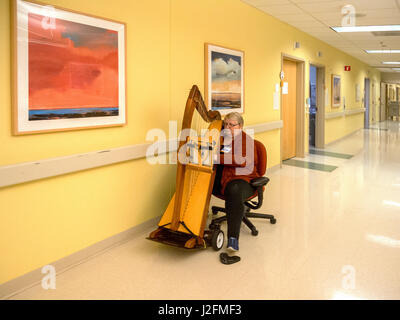 Eine ältere Frau Musiker spielt die Harfe auf dem Flur eines Krankenhauses Irvine, CA, um den Patienten zu beruhigen. Stockfoto