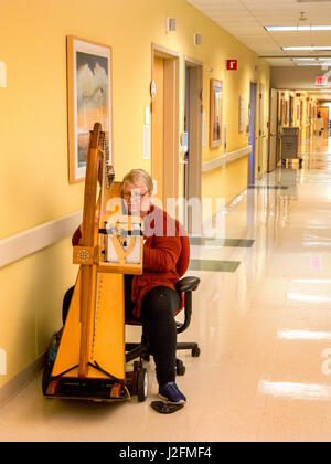 Eine ältere Frau Musiker spielt die Harfe auf dem Flur eines Krankenhauses Irvine, CA, um den Patienten zu beruhigen. Stockfoto