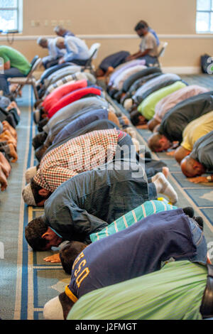 Muslimische Männer Niederwerfenden "Niederwerfung" Gebet Position mit ihren Gesichtern auf dem islamischen gemusterten Teppich am Freitagnachmittag Gebete während der Gottesdienste in einer Moschee in Anaheim, CA. Stockfoto