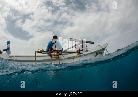 Homie (Baited remote Unterwasser-Video) Überwachung Forschung von großer mariner Fische, Haie, Rochen und Schildkröten. MarAlliance. Lighthouse Reef, Atoll. Belize. Zentralamerika Stockfoto