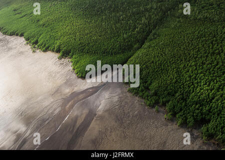 Shell Beach, North Guyana Stockfoto