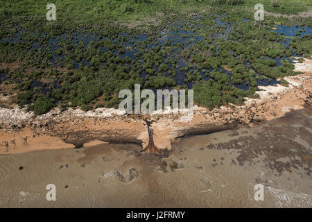 Shell Beach, North Guyana Stockfoto