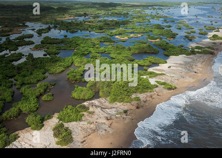 Shell Beach, North Guyana Stockfoto