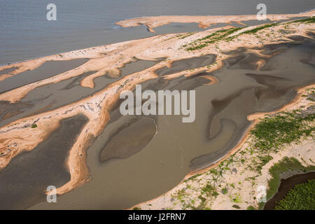 Shell Beach, North Guyana Stockfoto