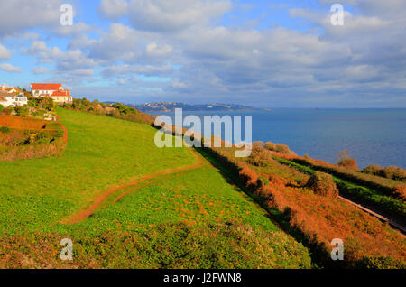 Süd West Küstenweg in der Nähe von Torquay Devon über Saturn Cove Stockfoto