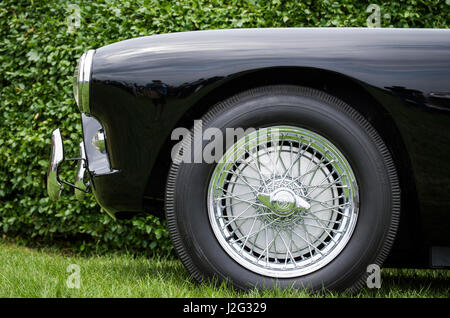 USA, Massachusetts, Beverly Farms, antike Autos, 1950er Jahre Aceca Stockfoto