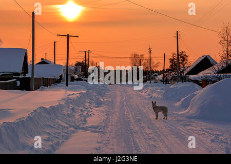 Winterlandschaft. schönen Sonnenuntergang in verschneiten Dorf Stockfoto