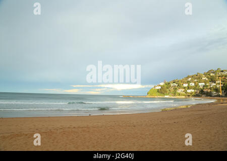 Palm Beach auf Sydneys Nordstrände. Stockfoto