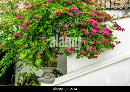 Hoch auf einem Hügel, mit Blick auf Convento De La Popa, Cartagena de Indias, Bolivar, Kolumbien. Stockfoto