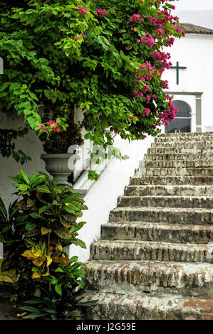 Hoch auf einem Hügel, mit Blick auf Convento De La Popa, Cartagena de Indias, Bolivar, Kolumbien. Stockfoto