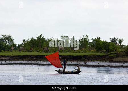 Ein Segelboot am Fluss Giuseppe in Bagerhat, Bangladesch. Stockfoto