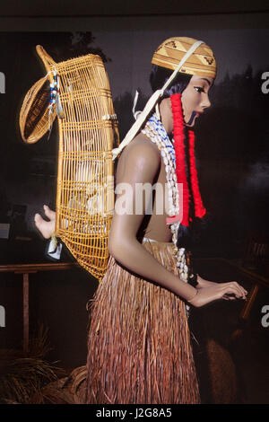 Die Hupa Indians of Northern California tragen ihre Kinder in gewebten Baby-Körbe, die in diesem Museum-Display mit einer traditionell gekleideten Frau, die Wiege der Korb auf dem Rücken tragen nachgewiesen wird. Stockfoto