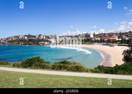 Yucca-Blumen mit Menschen im Meer schwimmen und Sonnenbaden am Strand, Coogee, Sydney, New SOuth Wales, Australien Stockfoto