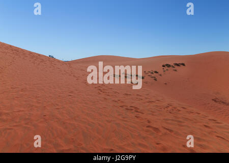 Roten Sanddünen in Mui Ne Villiage, Vietnam Stockfoto