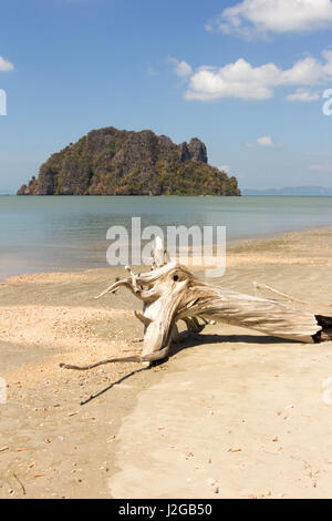 Gebleichtem Treibholz am Strand von Hua Hin, Provinz Trang, Thailand Stockfoto