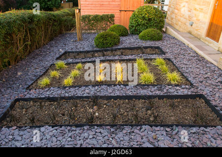 Schönen, privaten Garten, England, GB, UK. Stilvolles, modernes Design, Landschaftsbau, Neuanpflanzungen (Gräser) versunkene Betten, Schiefer Mulch, Formschnitt & Schuppen Stockfoto