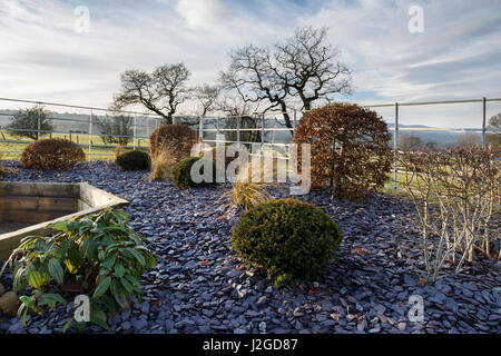 Sonnigen Winter Blick auf eine Ecke des einen schönen privaten Garten, Yorkshire, England, UK - angehobener krautige Rahmen mit Schiefer Splitt & topiary Sträuche. Stockfoto