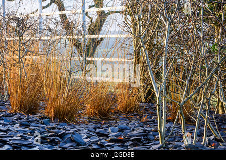 Sonnigen Winter Nahaufnahme von schönen privaten Garten Ecke, Yorkshire, England, UK - krautige Grenze, Schiefer Splitt, Pflanzen & Ziergräser. Stockfoto