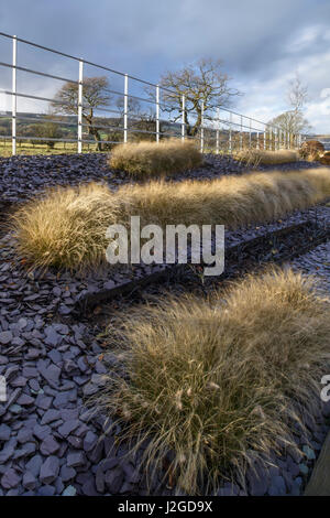 Winter Sonne am schönen, privaten Garten, Yorkshire, England, UK - zeitgemäßes Design & Landschaftsbau, Schiefer Splitt & Gräser an krautigen Grenze. Stockfoto