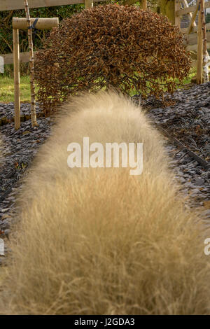 Sonnigen Winter Nahaufnahme von krautigen Grenze mit modernem Design, Schiefer Splitt & eine Linie der Gräser - Garten, Yorkshire, England, UK. Stockfoto