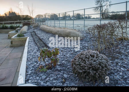 Winter eisige Blick auf den privaten Garten, stilvolles, modernes Design, Landschaftsgestaltung und Neuanpflanzungen in den Zeilen auf erhöhten Betten - Yorkshire, England, UK. Stockfoto