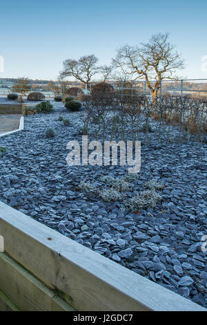 Winter frostig Blick auf Garten, Yorkshire, England, UK - stilvolles, modernes Design, Landschaftsbau, Schiefer Splitt & Pflanzen auf Hochbeeten. Stockfoto