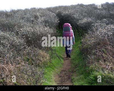 Backpacker-Frau auf dem South West Coast Path in Richtung Zennor von St Ives, Cornwall, West Country, SW England, Großbritannien, GB, Vereinigtes Königreich Großbritannien Stockfoto