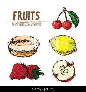Digitale Vektor Farbe detaillierte handgezeichnete Retro-Abbildung Sammlung Fruchtansatz. Dünne lineare Kunststift Gliederung. Vintage Tinte flachen Stil, Gravieren Stock Vektor